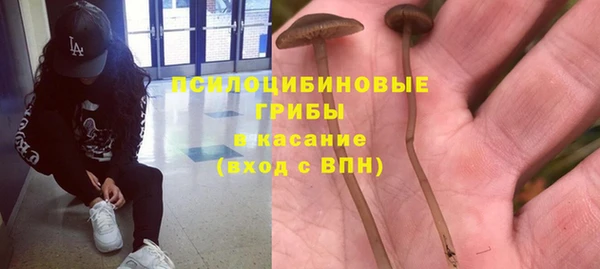 хмурый Зерноград