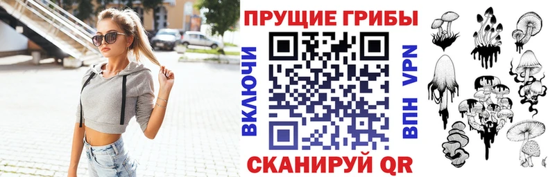 Галлюциногенные грибы Cubensis  Купить закладки  Грязовец 